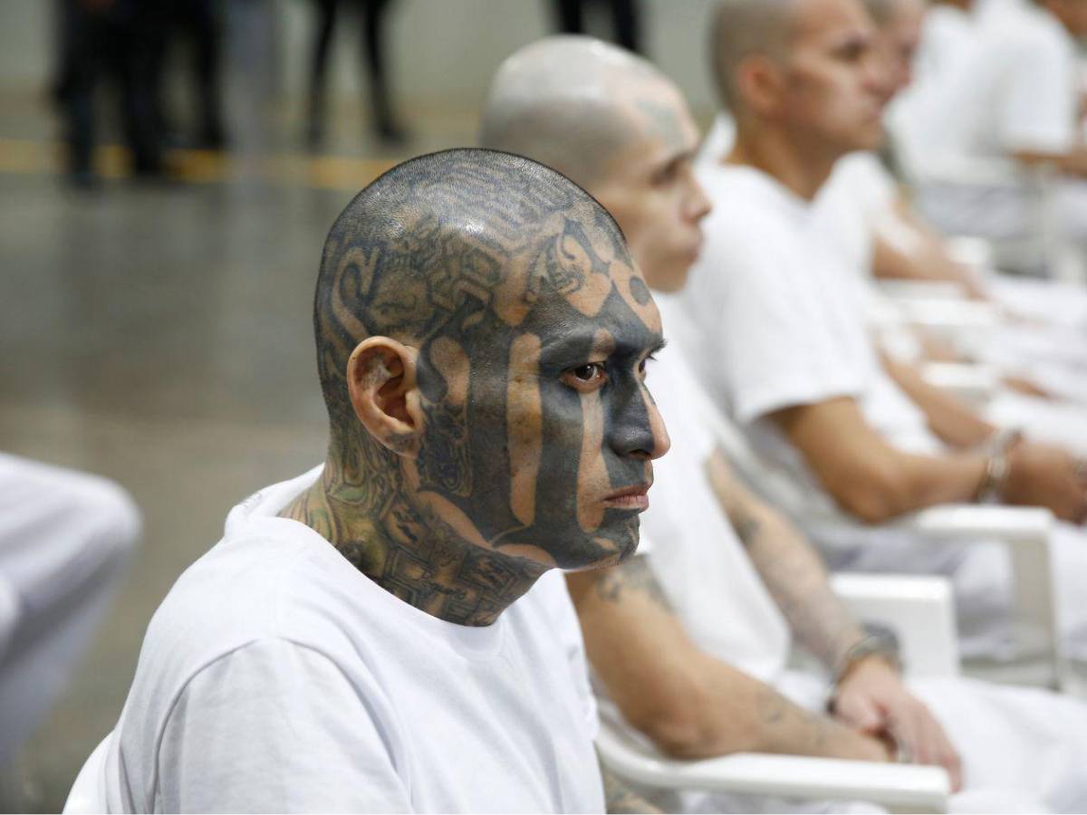 Inédito megajuicio contra más de 400 presuntos pandilleros