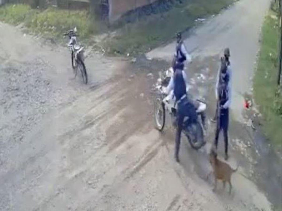 Policía que mató a perrito en Choluteca se defenderá en libertad