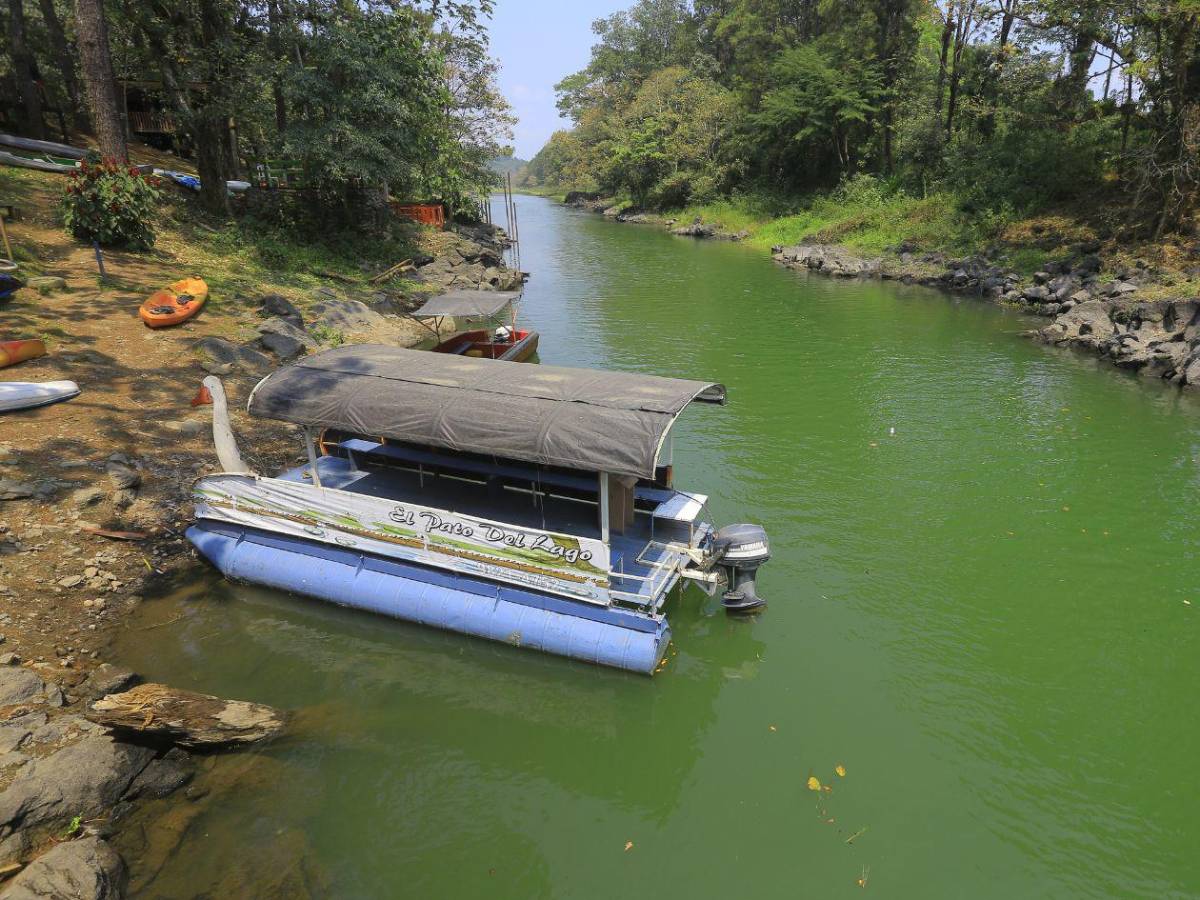 Explora las maravillas del Lago de Yojoa