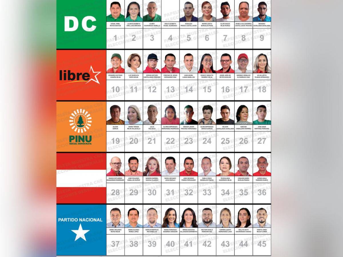 Abogados, docentes y un exárbitro buscan un curul en el Congreso Nacional