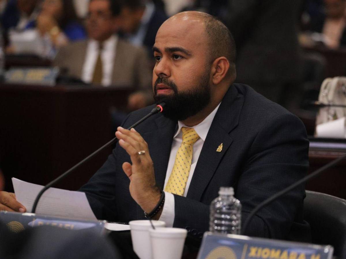 Los diputados veteranos que repiten en el Congreso Nacional 2026-2030