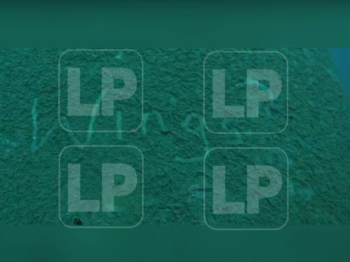 Exclusiva: El avión de Lanhsa bajo el mar tras el accidente en Roatán