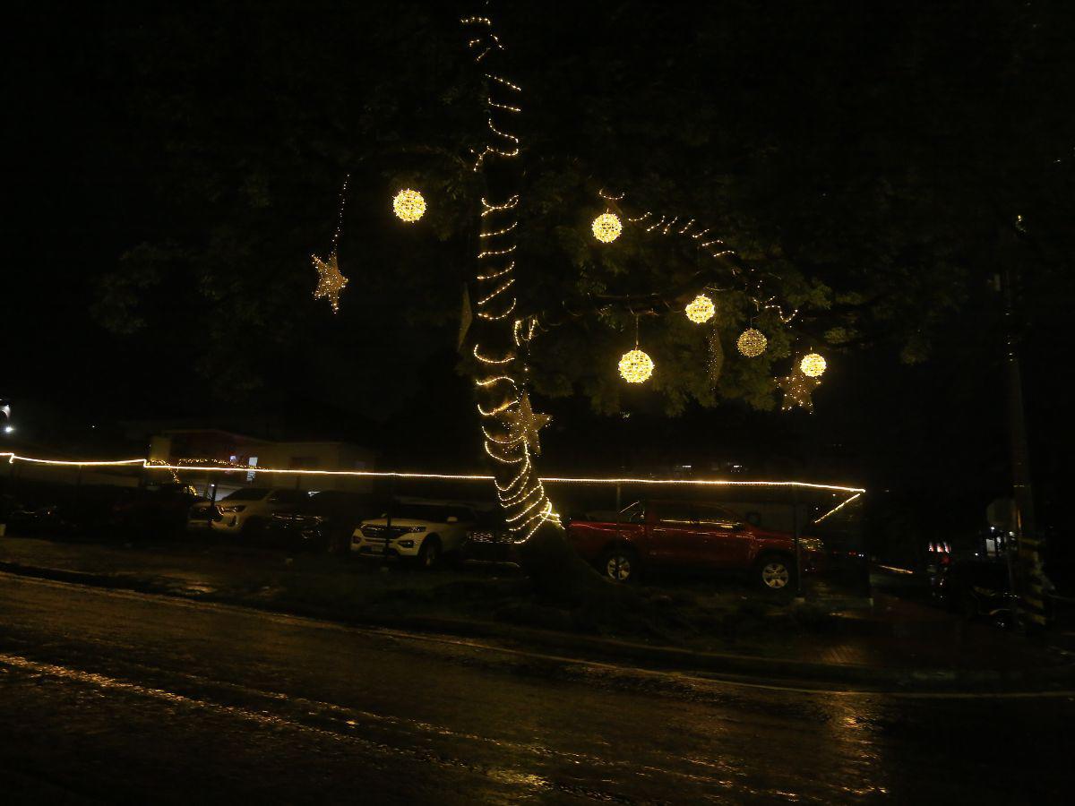 La magia de la Navidad llena de color y alegría San Pedro Sula