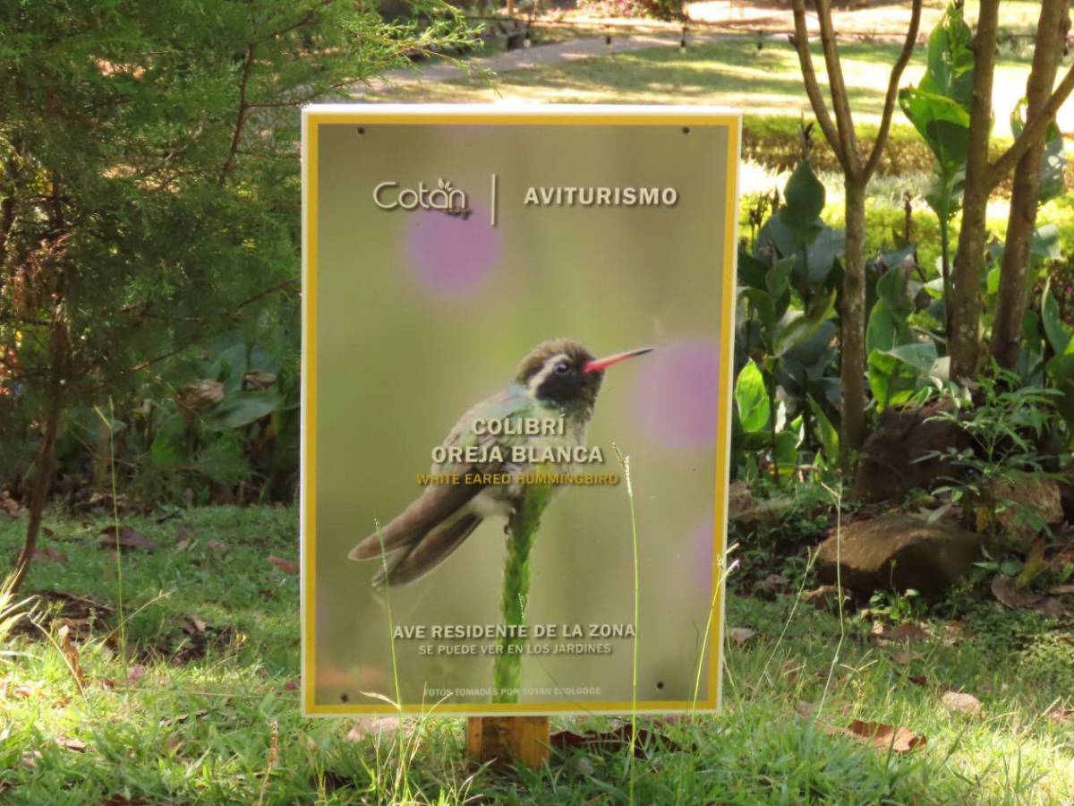 Honduras protege su tesoro natural: impulsa plan para salvar su biodiversidad