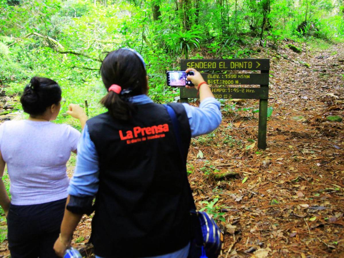 De bosques nublados a playas vírgenes: así de bellos son estos cinco parques nacionales