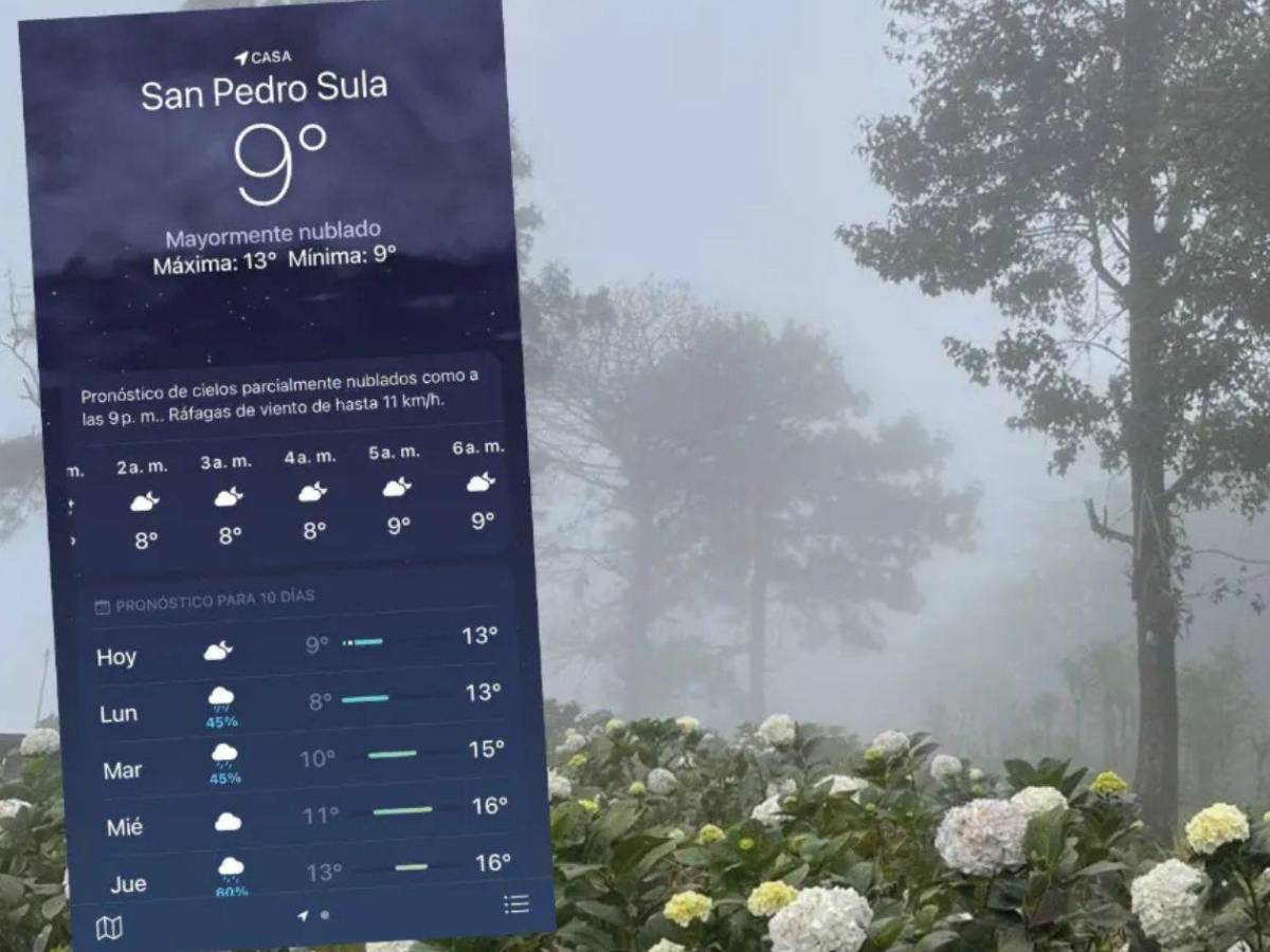 ¿Qué es el vórtice polar que causa frío intenso en Honduras, Centroamérica y EEUU?