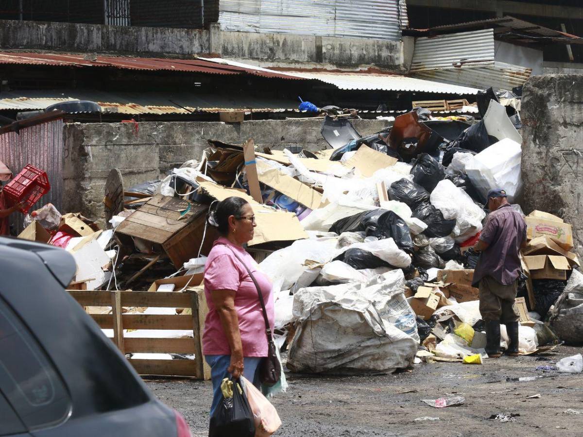 Basura “ahoga a San Pedro Sula, así lucen sus calles