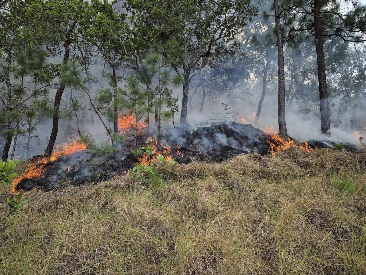 El Salvador en llamas: voraces incendios consumen mercados y cientos de hectáreas