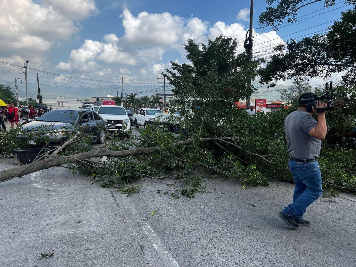 Tensión y caos por protestas de inversionistas de Koriun Inversiones en Choloma, Cortés