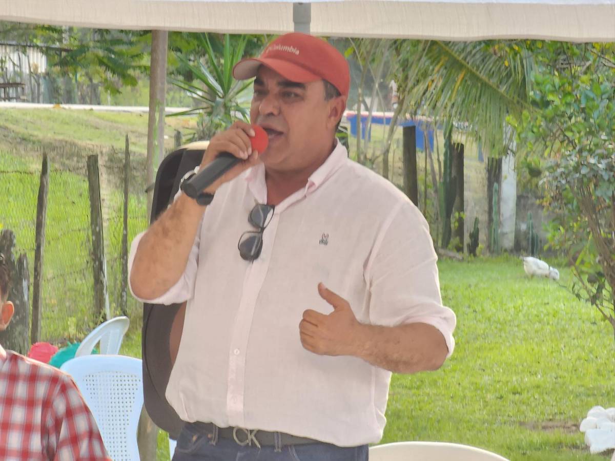 Dos diputados de Libre y un liberal buscan mantener su curul en Colón