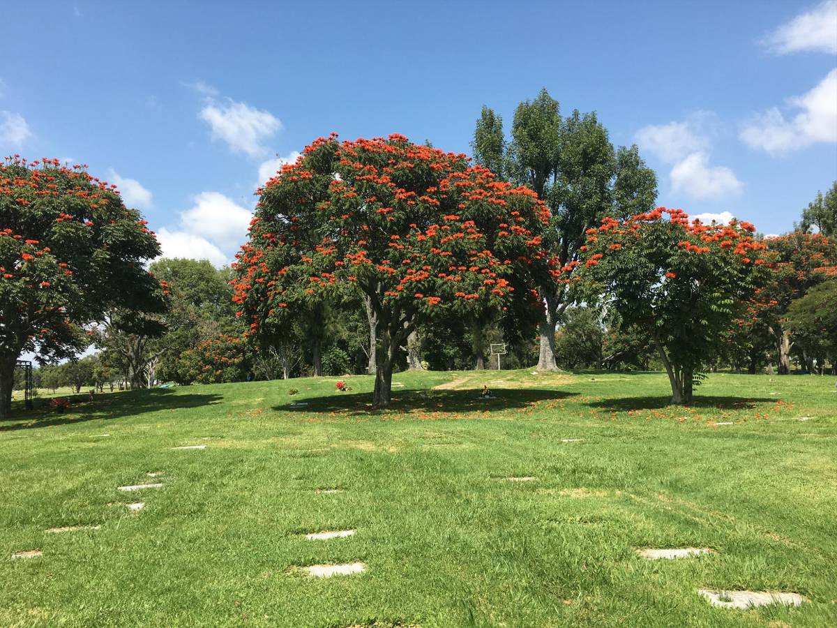 Así es el Panteón Recinto de la Paz; acá enterraron a El Mencho y a otros narcos