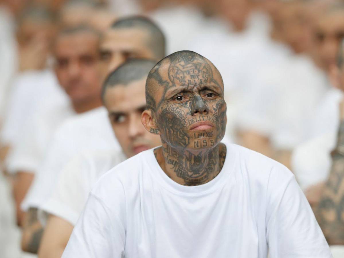 Inédito megajuicio contra más de 400 presuntos pandilleros