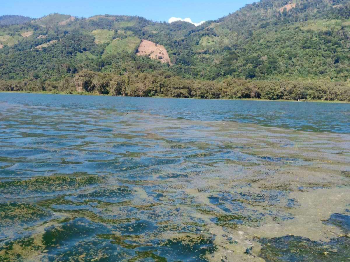 ¿Sirenas en el Lago de Yojoa? Las leyendas que hacen temblar a los turistas