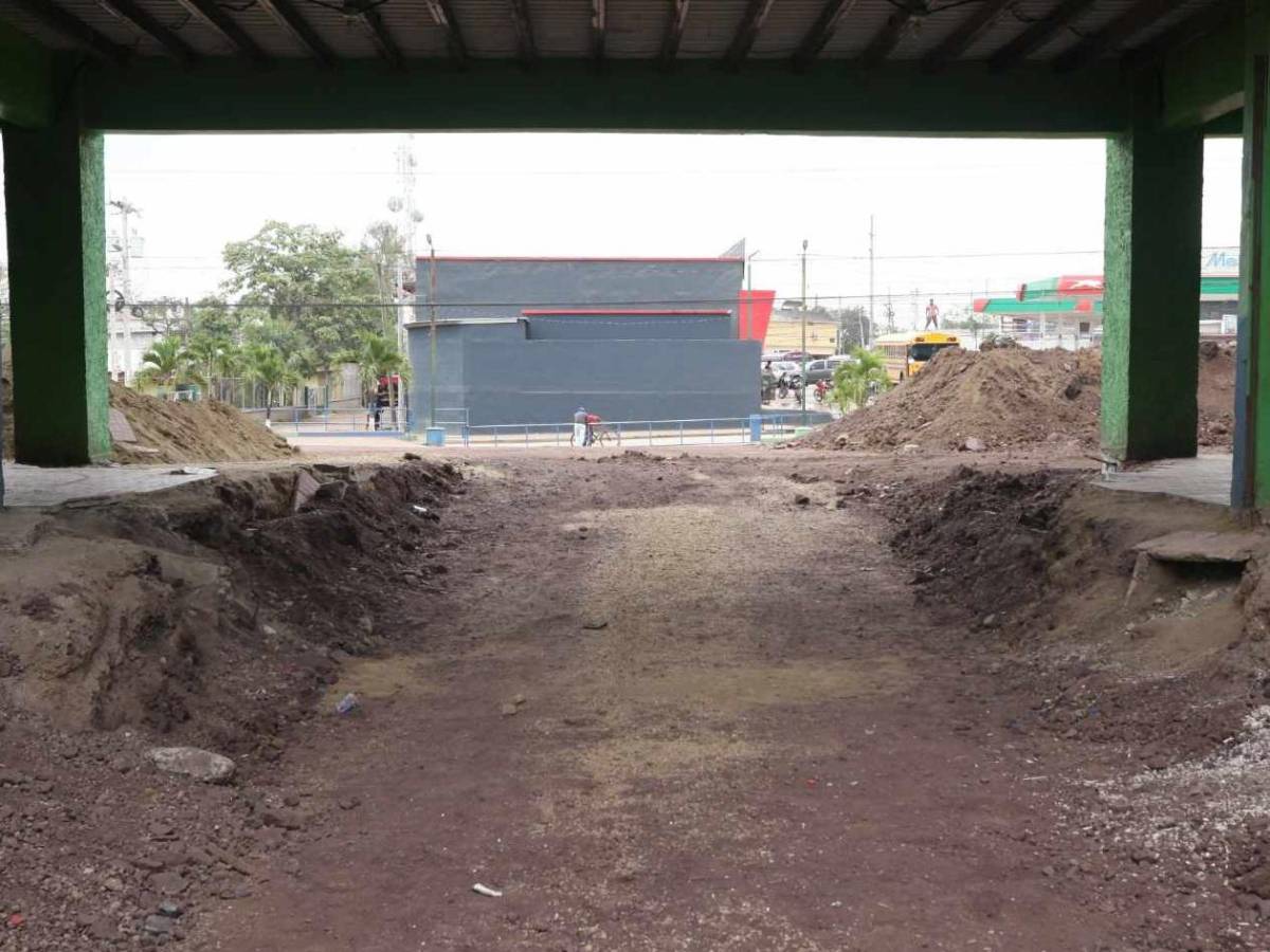 Así avanzan los trabajos en el Estadio Juan Ramón Brevé