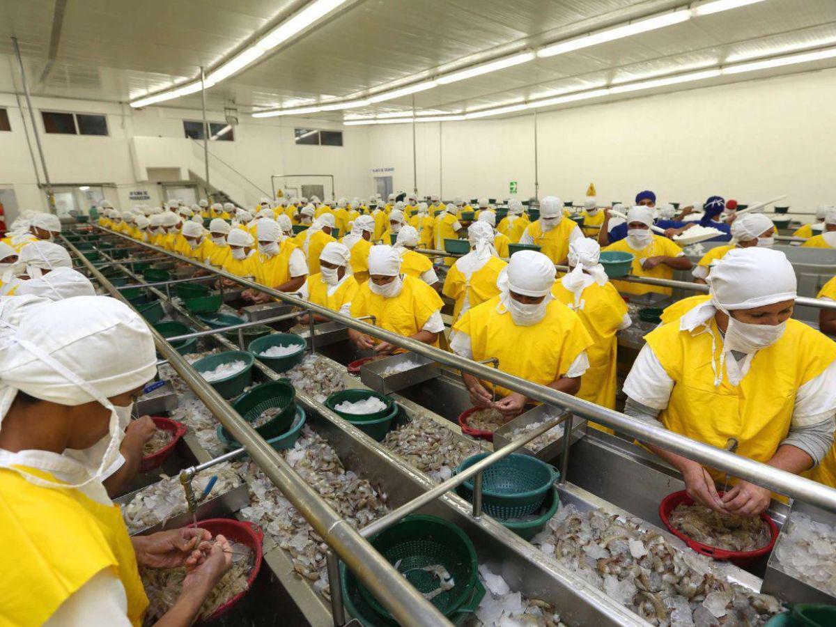 Misión oficial aborda con México el tema del camarón