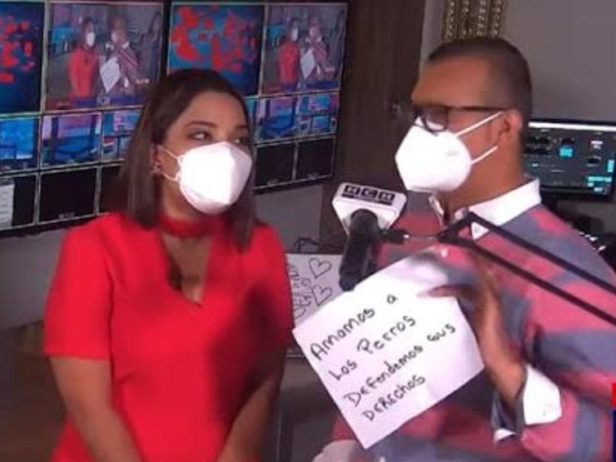 Ariela Cáceres y Alex tienen encontronazo en vivo: Estamos dos gatos iguales