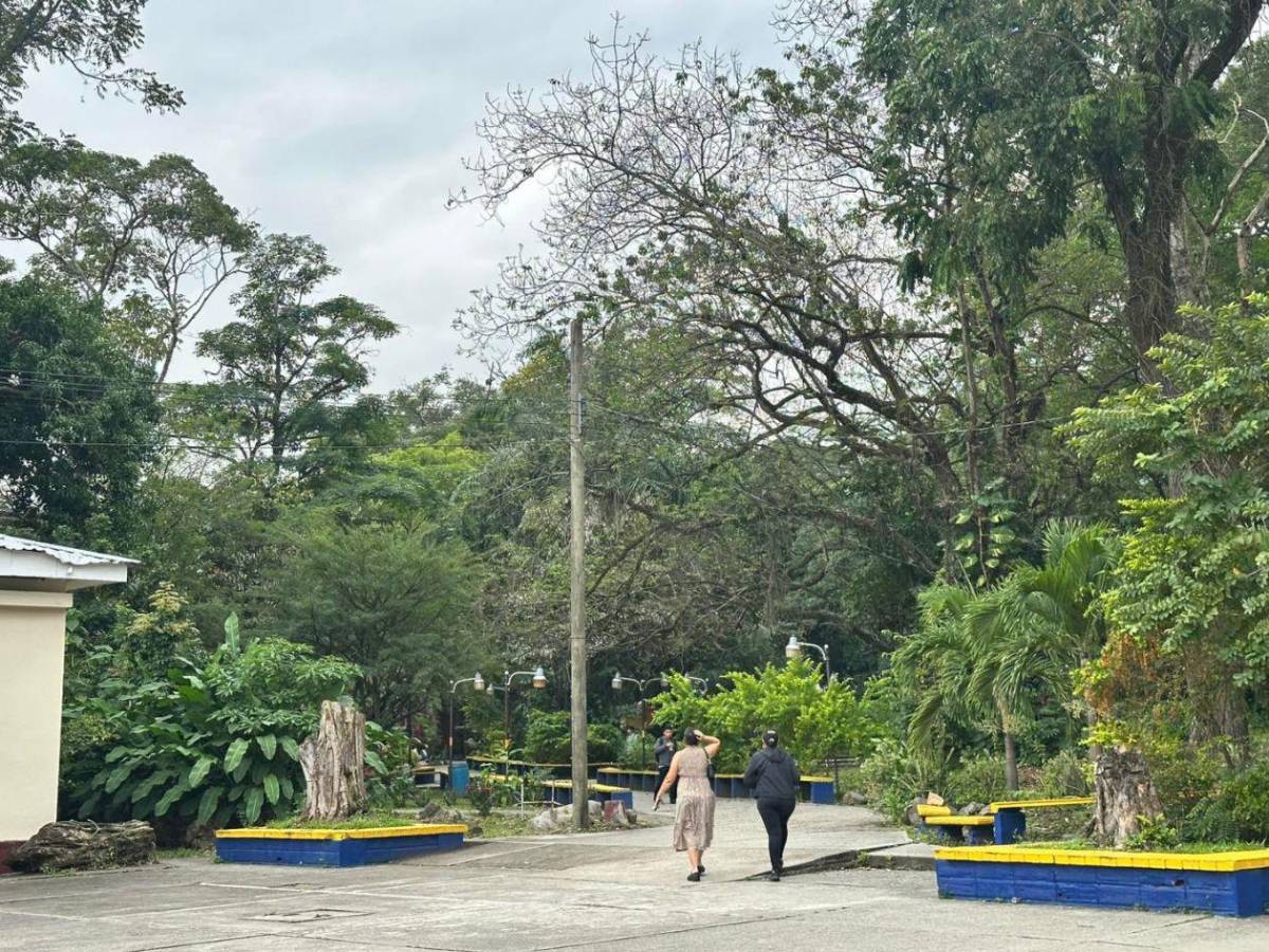 Anuncian cambios temporales en el acceso vehicular a la Unah-Cortés