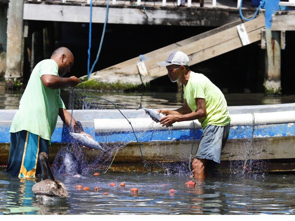 Omoa espera hasta 300 mil turistas en Semana Santa