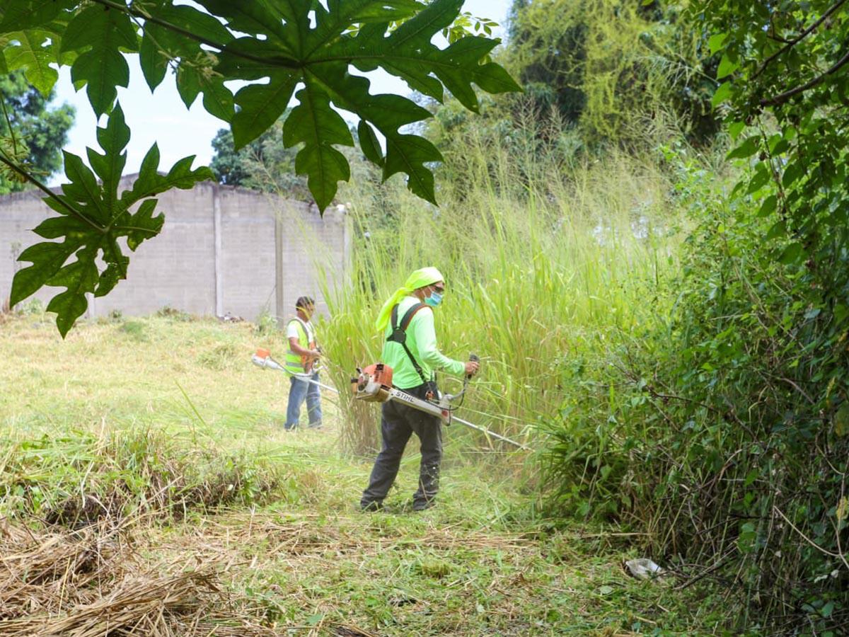 Trabajadores de la municipalidad de San Pedro Sula limpian un solar.