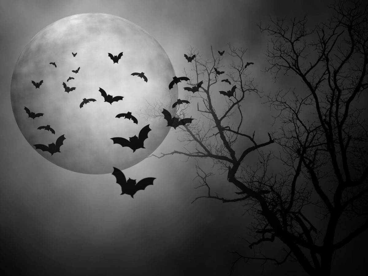 ¿Halloween tiene un origen religioso? Lo que debes saber sobre su historia y significado