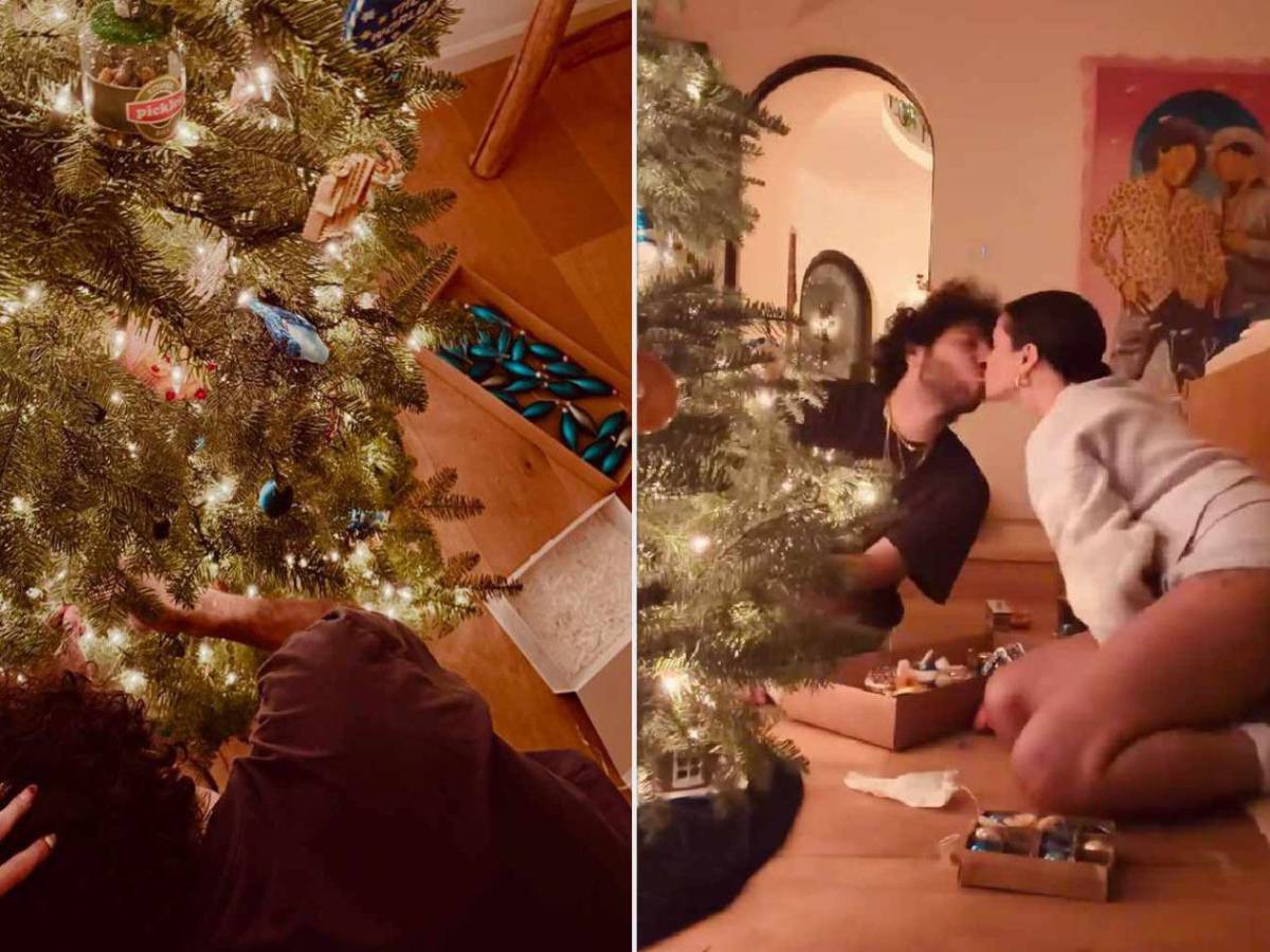 Así lucen los árboles navideños de los famosos