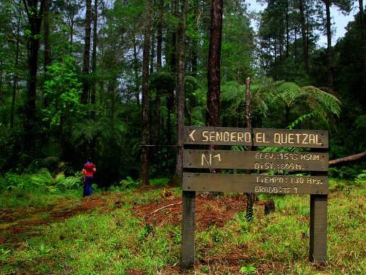 Los 10 destinos imperdibles en Cortés para conocer en la Semana Morazánica
