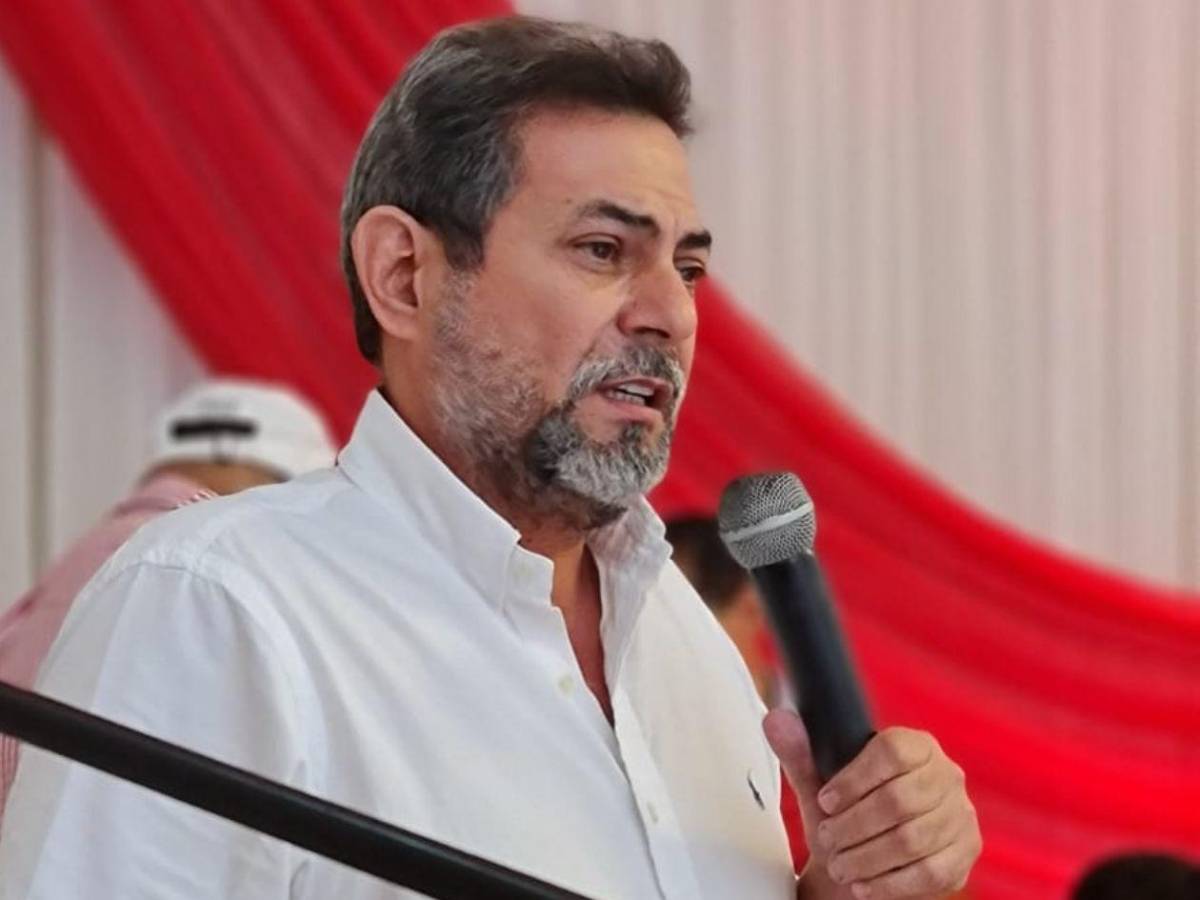 Los diputados veteranos que repiten en el Congreso Nacional 2026-2030