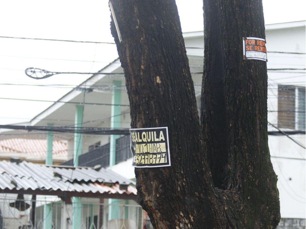 De “solo solteros” a “sin niños”: las reglas para alquilar en Honduras