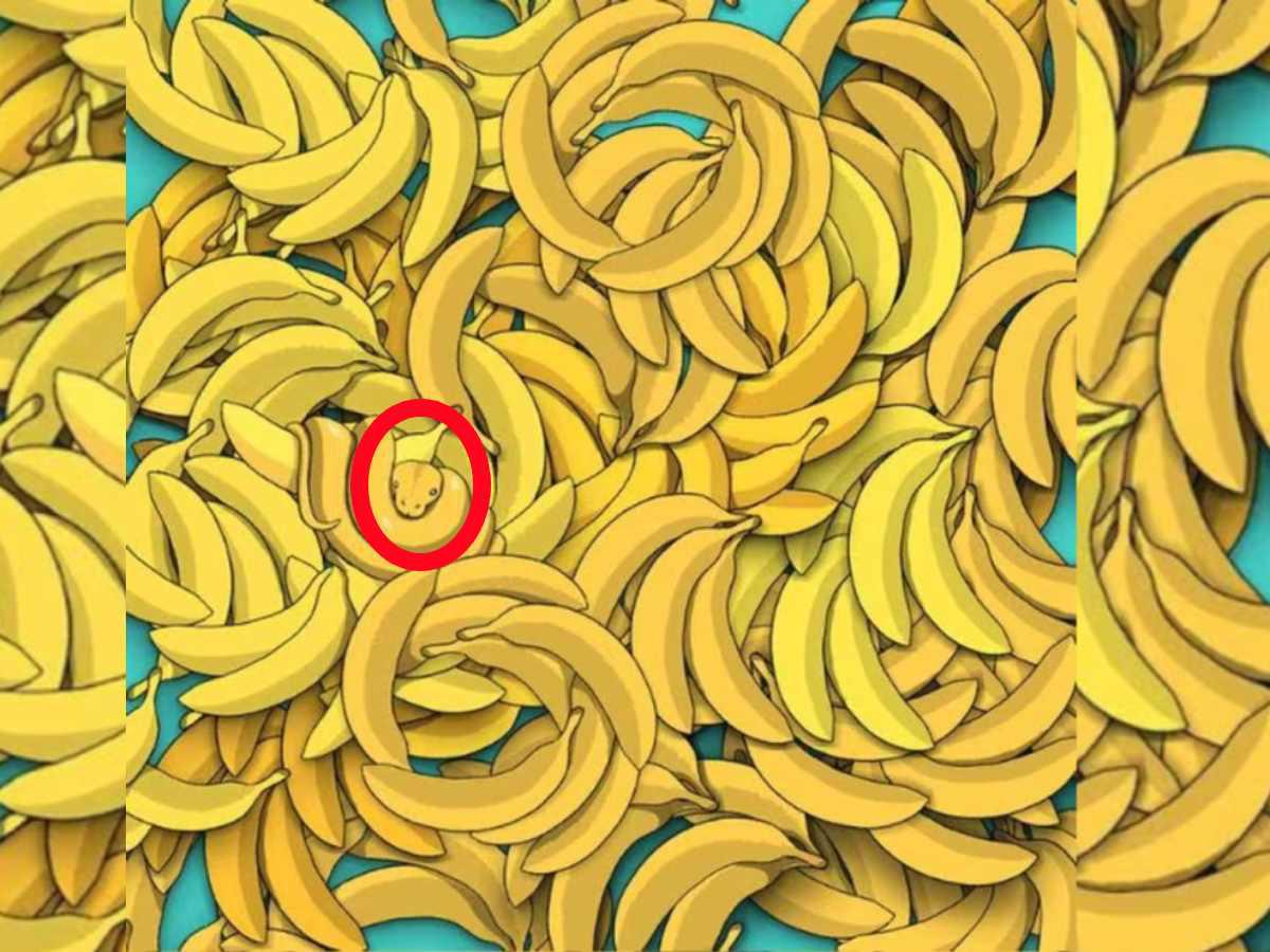 Respuesta del test visual