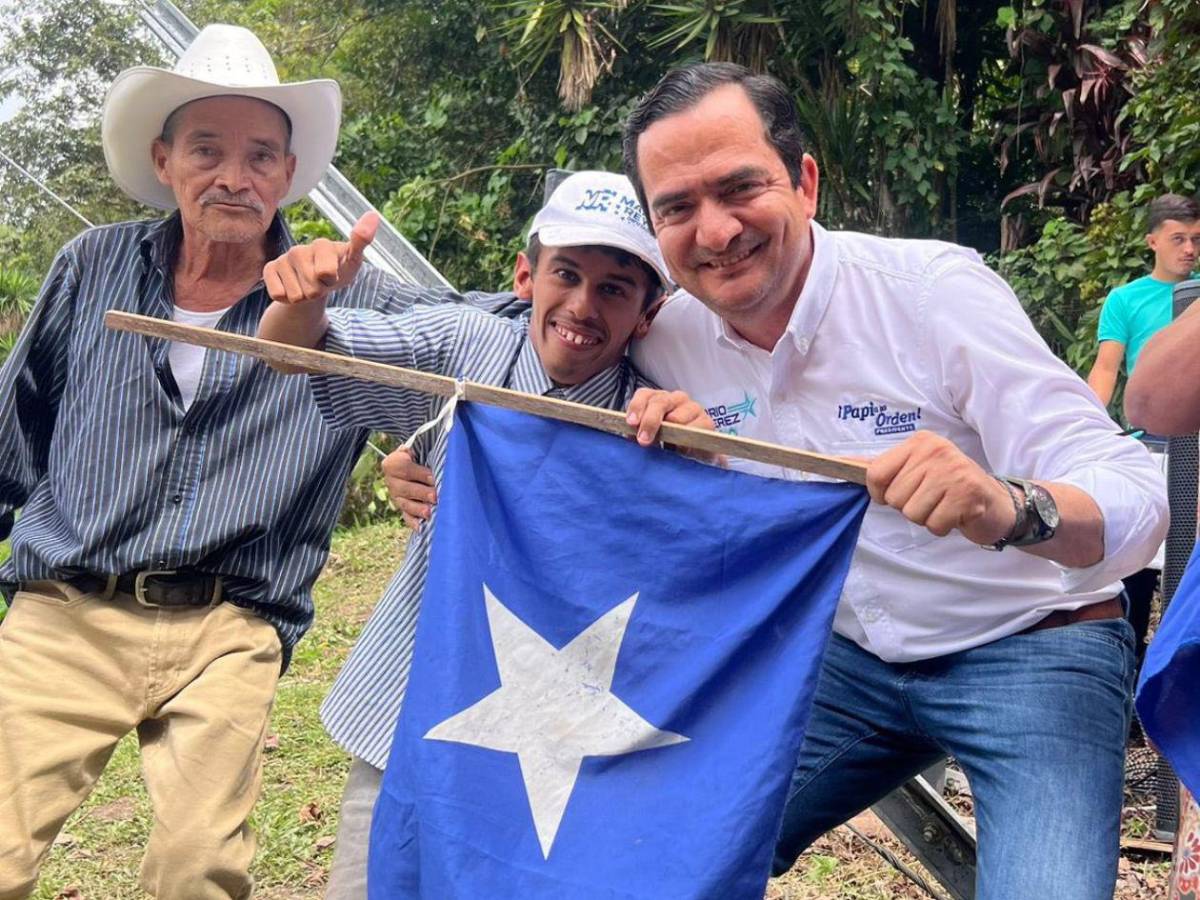 Los diputados veteranos que repiten en el Congreso Nacional 2026-2030