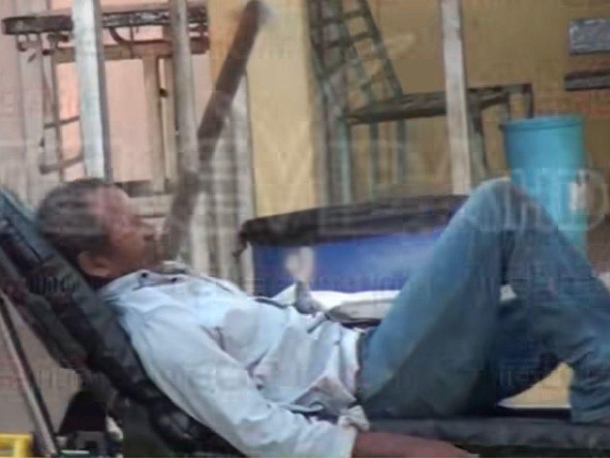 Hombre muere tras ser atacado por un enjambre de abejas en Choluteca