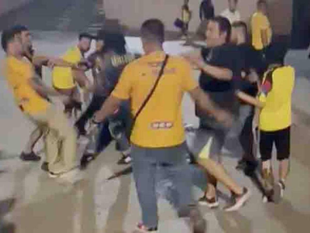 Tremenda pelea tras la victoria del América sobre Tigres; Liga MX lanza comunicado