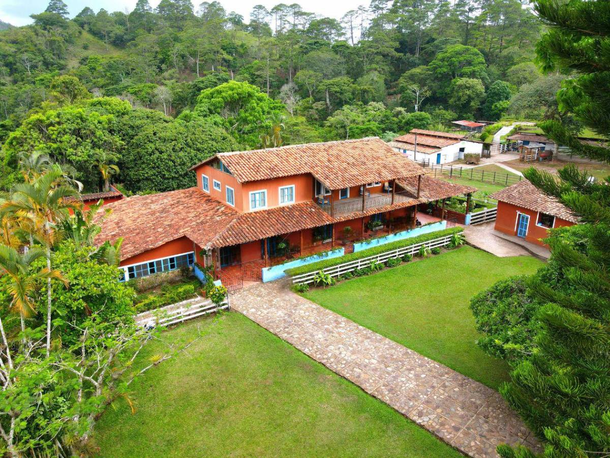 Entre aventuras, café y guacamayas, descubre el occidente de Honduras esta Semana Santa