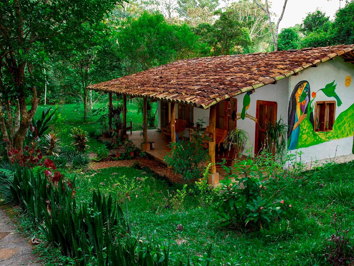 Amaneceres en Ecofinca Luna del Puente, el aroma del café se fusiona con la frescura del Parque Nacional Cerro Azul Meámbar.