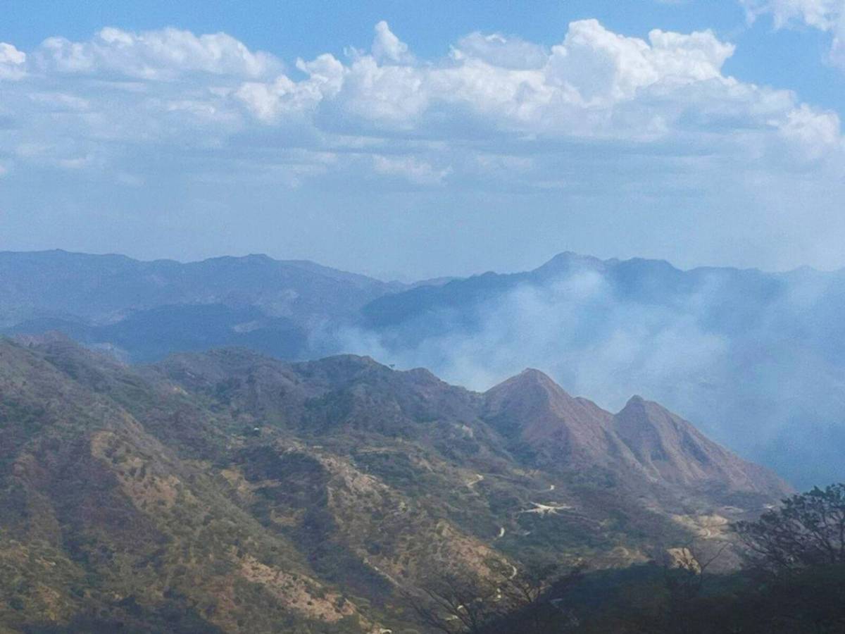 Siete días de fuego: 80 hectáreas de bosque fueron arrasadas en el sur de Lempira