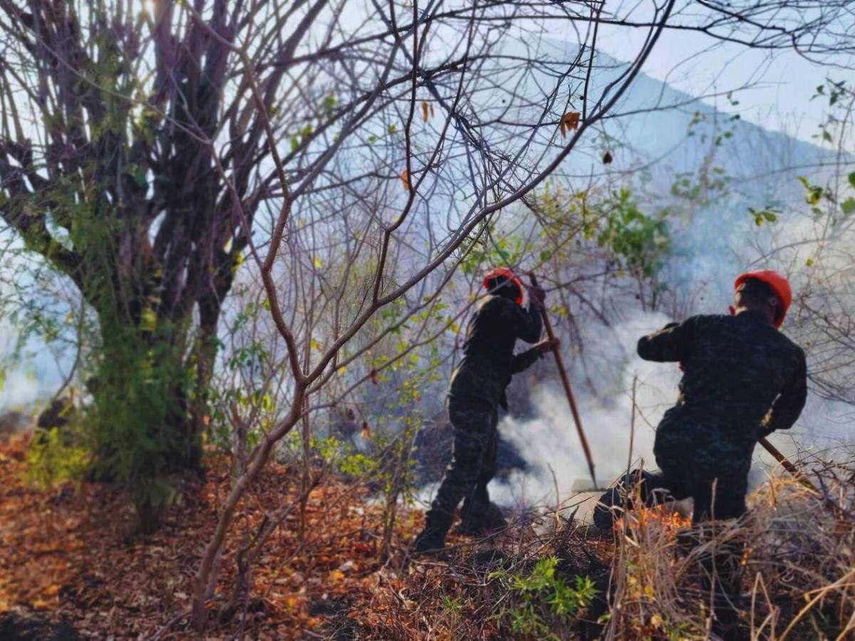 Siete días de fuego: 80 hectáreas de bosque fueron arrasadas en el sur de Lempira