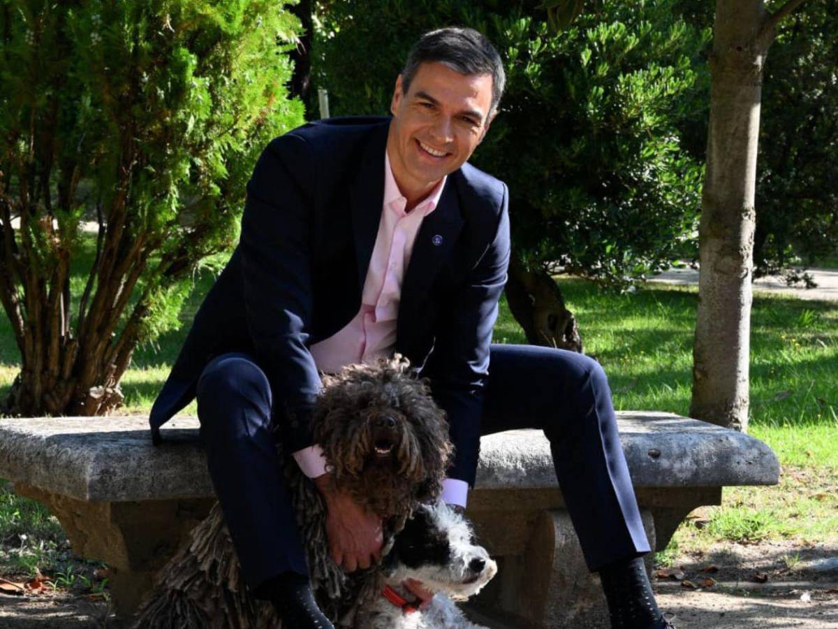 España abre puerta a regularización: guía fácil para hondureños paso a paso