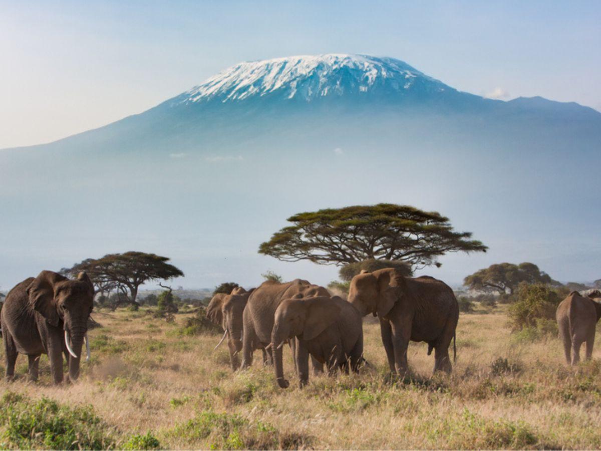 Honduras: Conozca los países  donde puede viajar sin visa