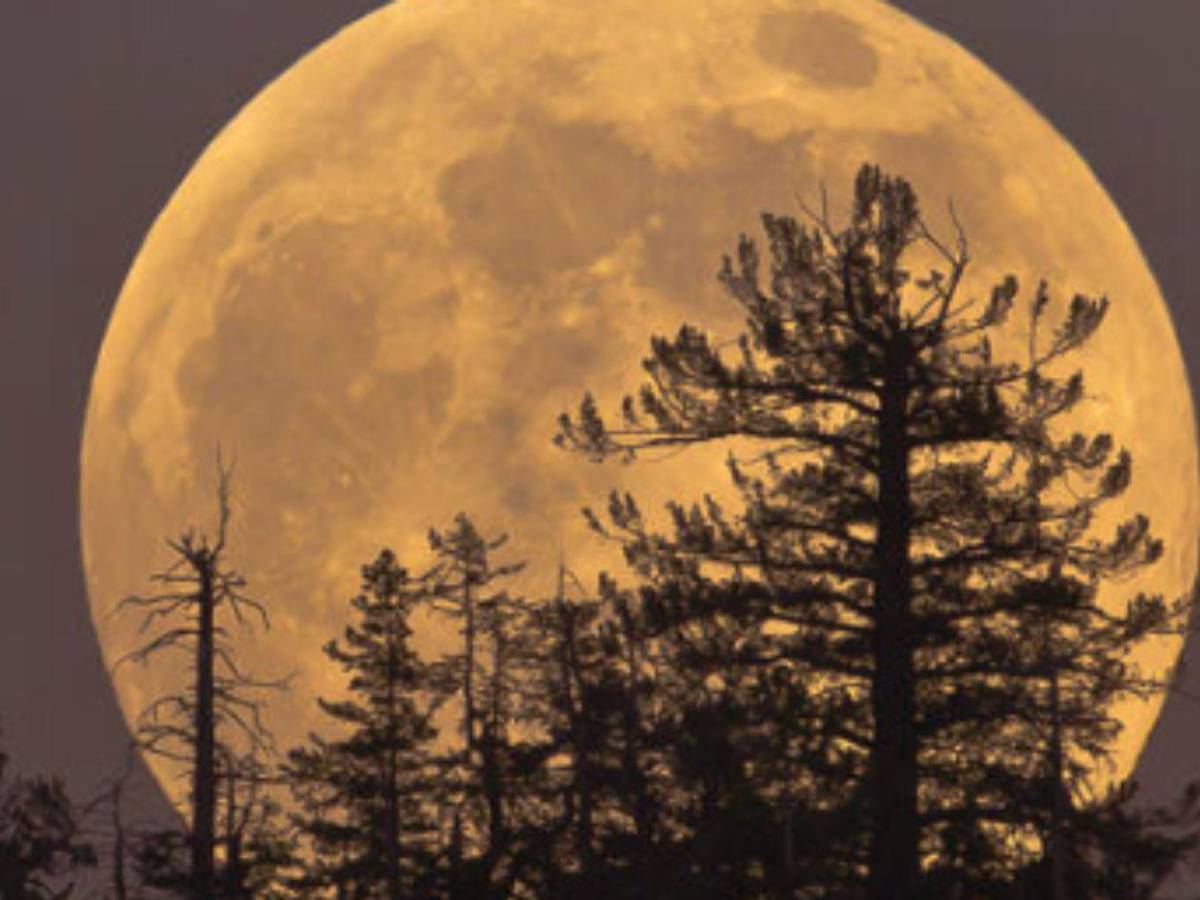 Hoy será visible la primera Luna llena: la señal que fija la Semana Santa