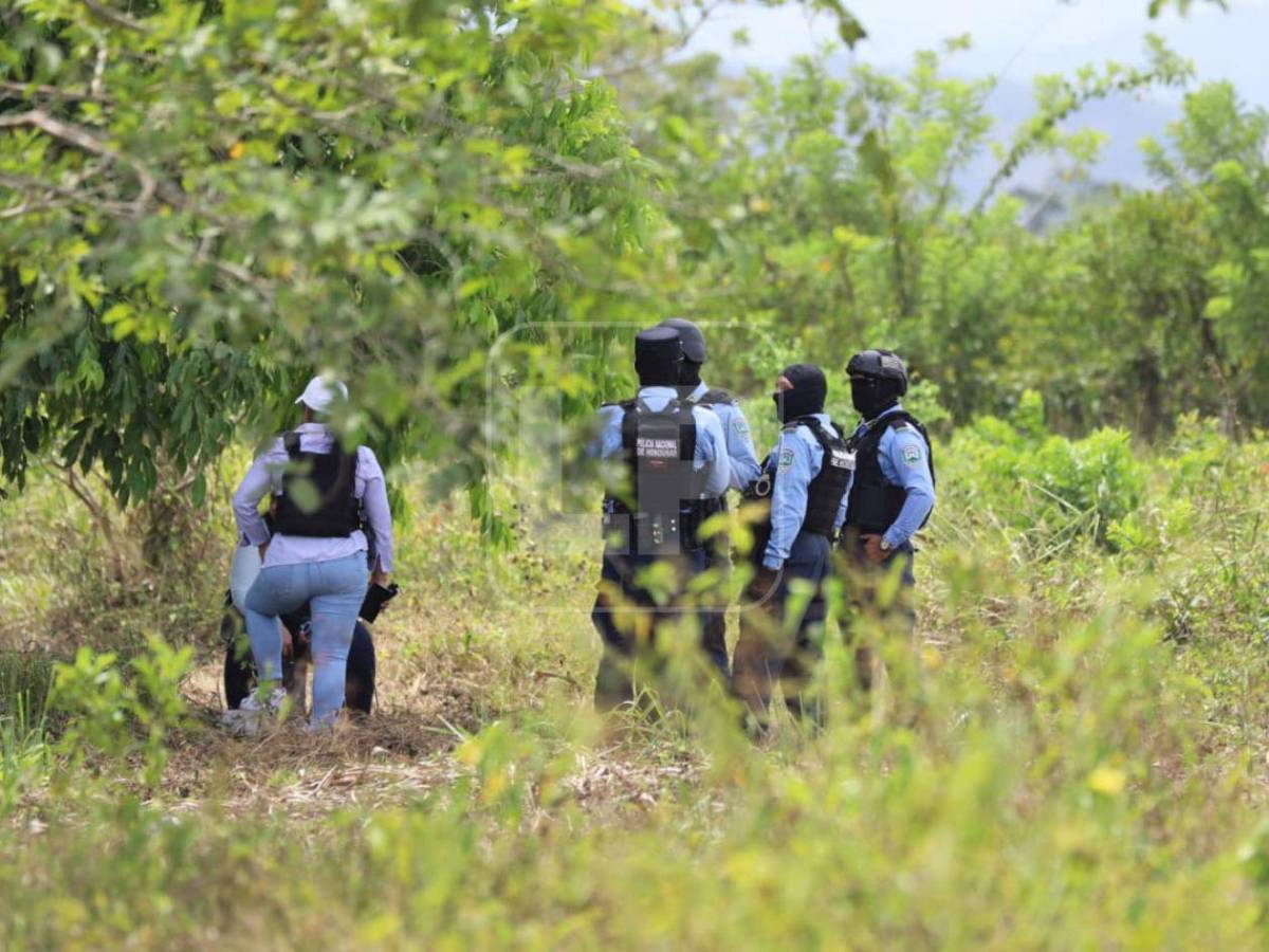 Cuando la tumba guarda evidencias: así funciona una exhumación judicial