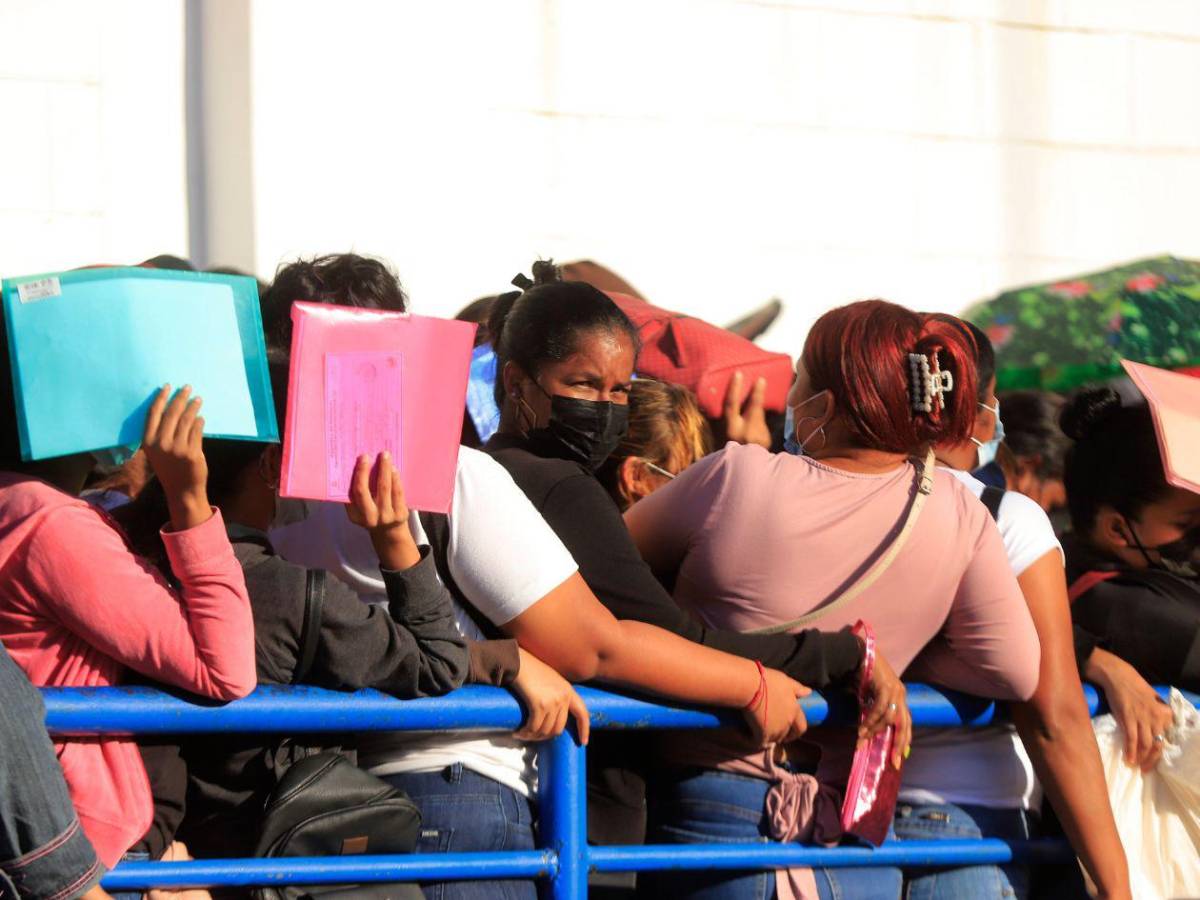 Estas son las ofertas laborales en las bolsas de empleo públicas y privadas en Honduras