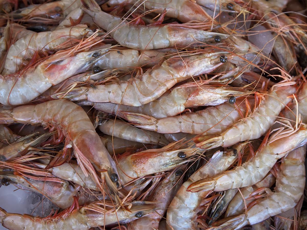 Honduras participará en feria de pesquería y mariscos en China