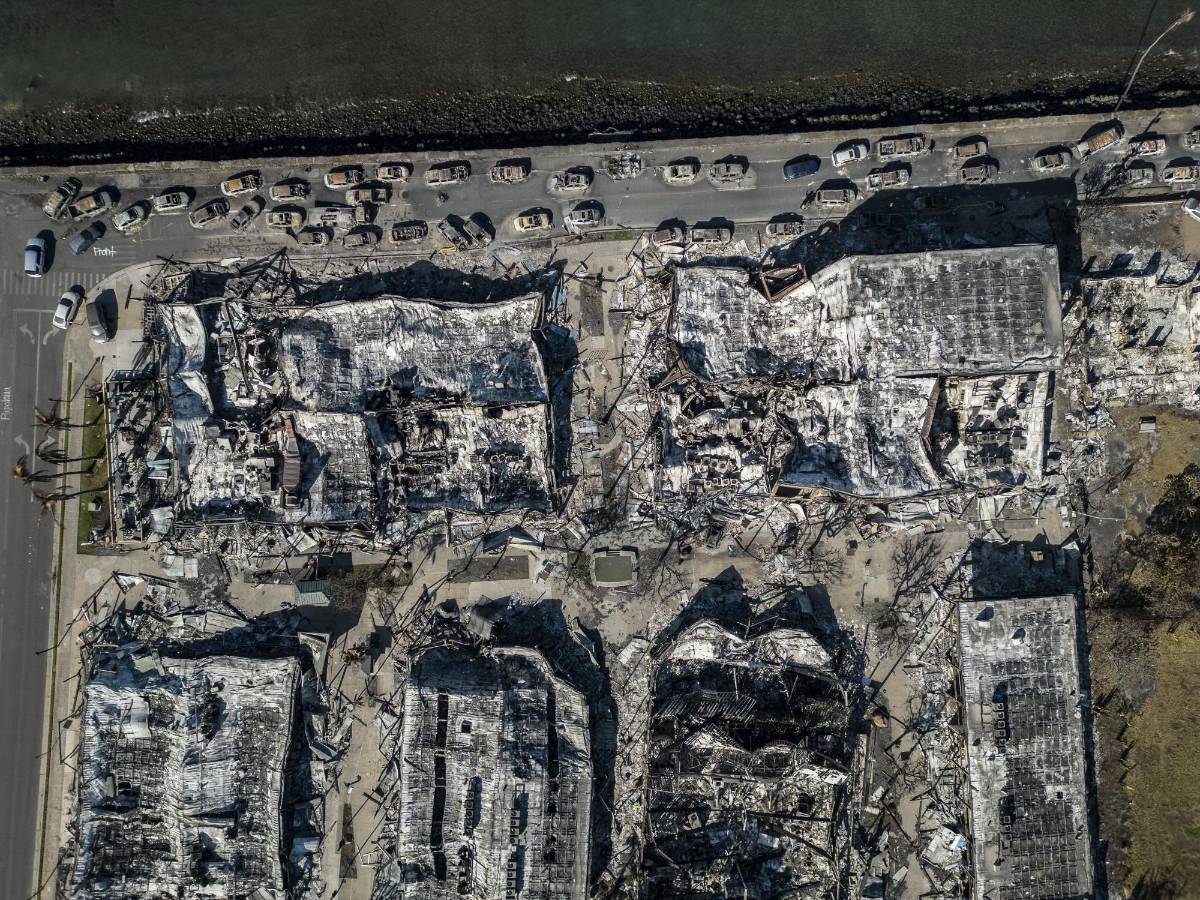 Edificios y automóviles quemados en Lahaina, en la isla hawaiana de Maui, el 16 de agosto de 2023. Durante la última semana, mientras los equipos de búsqueda examinaban montones de escombros y cenizas en busca de restos humanos, se inició una búsqueda paralela para encontrar gatos y perros. atrajo a cientos de voluntarios.