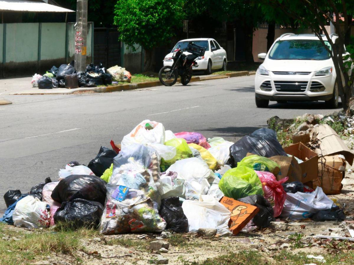 Basura “ahoga a San Pedro Sula, así lucen sus calles