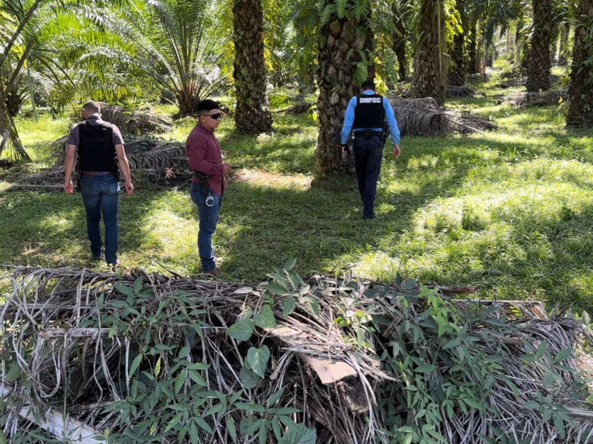 Dantesco: Matan a hombre y le sacan el corazón en Olanchito
