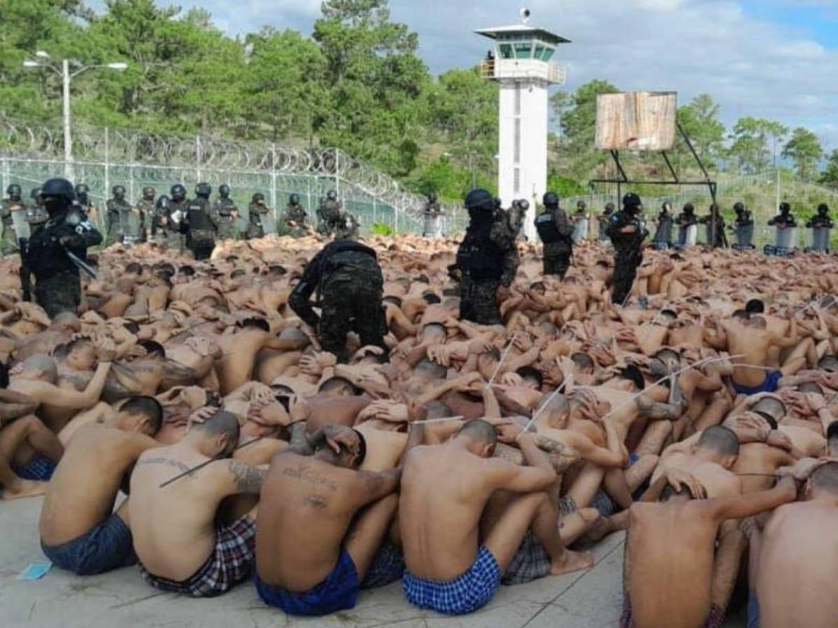 Pandilla 18, MS-13 y Cartel del Diablo ¿Por qué las declararon organizaciones terroristas?