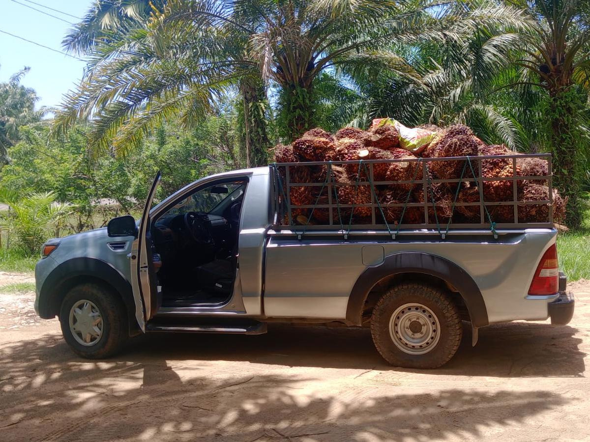 Los pickups cabina sencilla cuentan con tecnología de última generación en cuanto a seguridad y eficiencia.