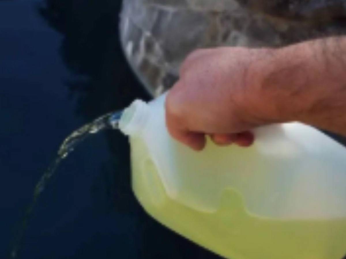 Niño cansado de que le tomaran el agua llevó cloro en su termo y dejó a compañero hospitalizado