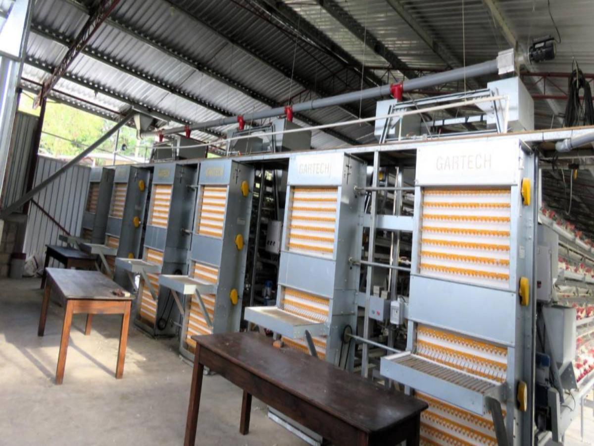 Inversiones Diagro lidera el mercado agropecuario nacional en todos los procesos