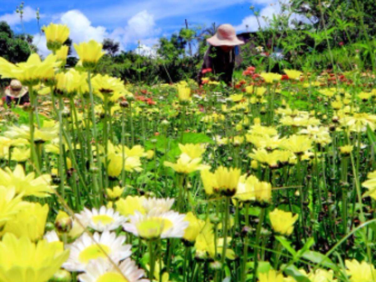 La Tierra se sacude: Inicia equinoccio de primavera y estos son los cambios que verás